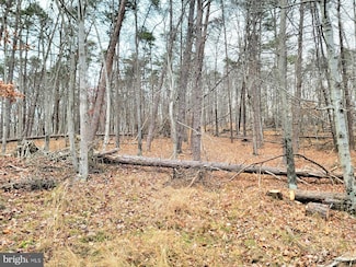Lot 33 Circling Hawk Ln, Berkeley Springs, WV 25411
