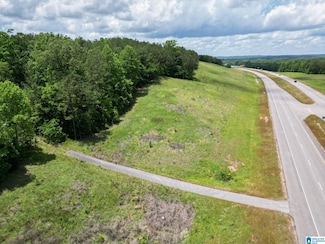 0 Highway 82 Unit 1 21385129, Centreville, AL 35042