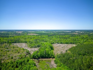 0 Metts-Overstreet Rd, Bristol, GA 31518