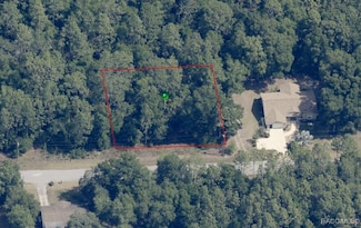 3311 E Murray St, Inverness Highlands North, FL 34453