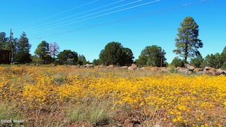 2966 Johnson St, Lake of the Woods, AZ 85929