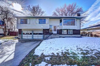 1304 Bristol Dr, Montrose, CO 81401