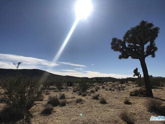 59881 Sharp Terrace Dr, Joshua Tree, CA 92252