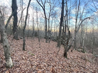 0 Whiskey Creek Ln Unit 25-236, Batesville, AR 72501