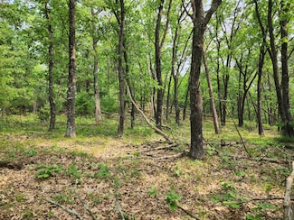 lot 10 Jargon Ave, Wells, WI 54110
