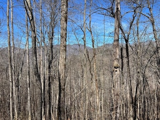 Lot 15 Bear Trail Roaring Ridge, Hiawassee, GA 30546