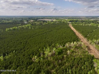 0 N Carolina 33, Grimesland, NC 27837