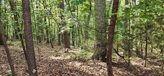 Lot 251 Pleasant Ln, McGaheysville, VA 22840