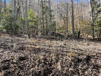 00 Meadow Mountain Estate Rd, Franklin, NC 28734