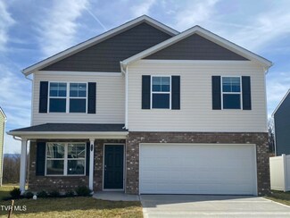 1017 Persimmon Hollow, Greeneville, TN 37745