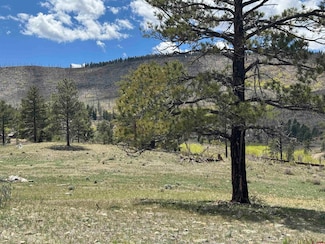 150 Rickel Cir, South Fork, CO 81154