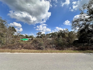 TBD SE 183rd Terrace, Ocklawaha, FL 32179
