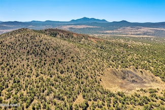 0 20202016s Unit 198696, Williams, AZ 86046