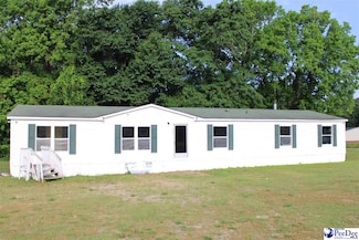 1293 Don Ct, Dillon, SC 29536