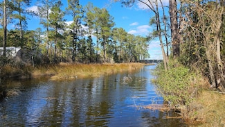0 Barnes Foster Loop Rd, Belhaven, NC 27810