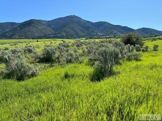 L15B4 Sumac Loop, Swan Valley, ID 83428