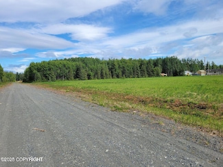 4 Lots Echo Lake Rd, Soldotna, AK 99669