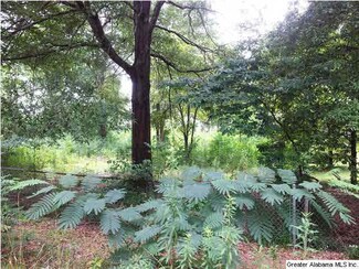 105 Overhill Dr Unit 14, Vincent, AL 35178