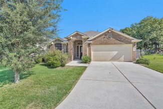 602 Lake View Dr, Montgomery, TX 77356