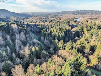 0 Germond Rd, Castle Rock, WA 98611