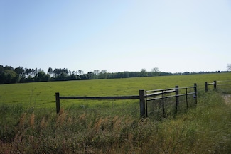 7784 Highway 393, Laurel Hill, FL 32567