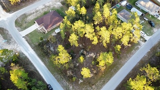 00 NE 9th St, Williston, FL 32696