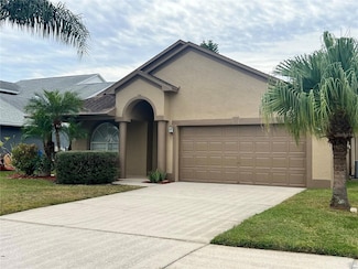526 Cypress View Dr, Oldsmar, FL 34677