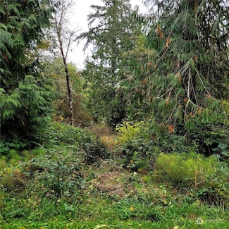 8930 Baird Rd NE, Olympia, WA 98516
