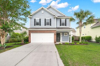 235 Nelliefield Creek Dr, Charleston, SC 29492