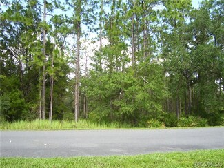 7903 S Suncoast Blvd, Homosassa, FL 34446