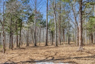 0 Cobbler Ridge Rd Unit RTC2657832, Franklin, TN 37064