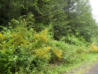 22 Tara Ln, Vader, WA 98593