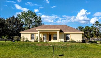 1330 Red Colt Ct, Astor, FL 32102
