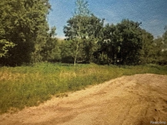 lot 9 Country Pride Ln, Imlay Township, MI 48444