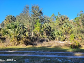 910 Paradise Blvd, Georgetown Cove, FL 32139