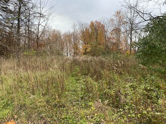 4933 Olive Branch Rd, Three Oaks, MI 49128