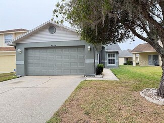 6554 Gentle Ben Cir, Wesley Chapel, FL 33544