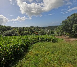 Lot E Pr 966 Zarzal Ward, Rio Grande, PR 00745