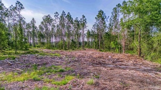 0005 Martin Rd, Milton, FL 32570