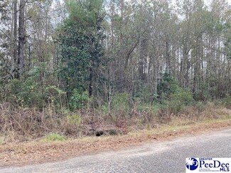 tbd Wienwood Dr 1 8 Ac, Hemingway, SC 29554