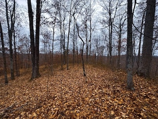 0 Bear Run, Smithville, WV 26178