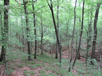 0 County Road 63, Arley, AL 35541