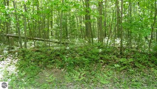 0 Westover Dr Unit 1847832, Oscoda, MI 48750