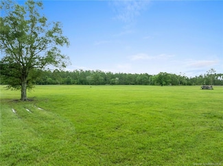 0 Wilkins Rd Unit SWL25003485, Dequincy, LA 70633