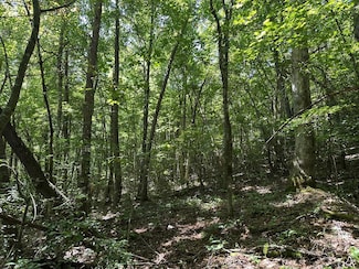 00 Lyle Downs Rd, Franklin, NC 28734