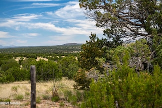 000-B Pine Ridge Rd, Seligman, AZ 86337