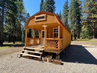 1-F-11 Timberline Ct Unit 1, McCloud, CA 96057