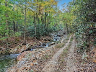 TBD Graphite Rd, Old Fort, NC 28762