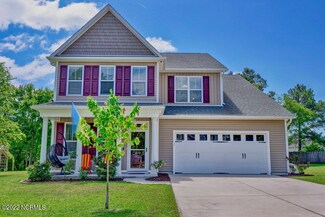 115 Bunchberry Ct, Hampstead, NC 28443