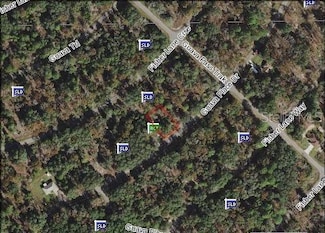 00 Guava Place Dr, Ocklawaha, FL 32179